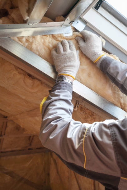 Best Insulation Maintenance and Repair in Anamosa, IA