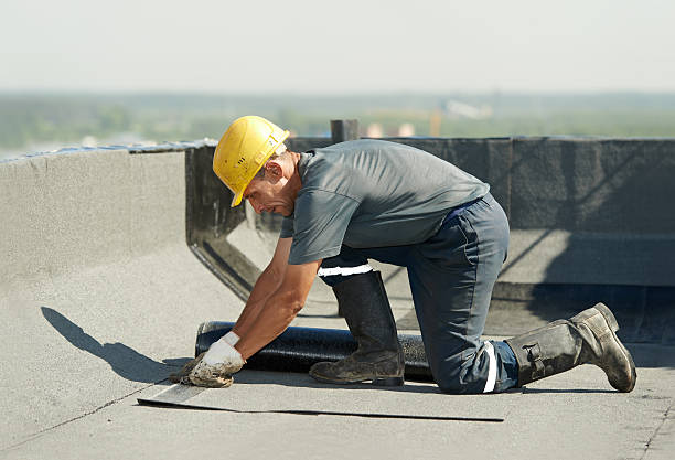 Best Specialized Insulation Services in Anamosa, IA