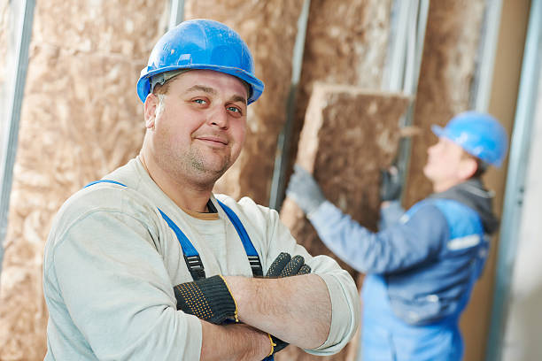 Best Geographic-Specific Insulation Services in Anamosa, IA